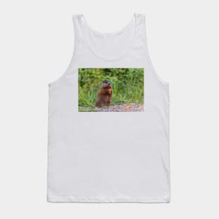The Beaver eating a carrot Tank Top